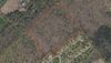 6917 Lindal Rd. photo